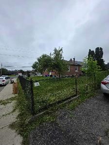 lawn care - Photo 4