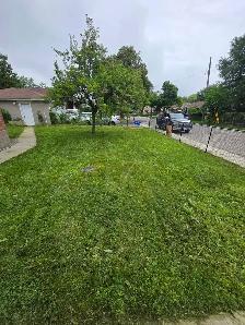 lawn care - Photo 6