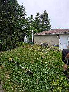 lawn care - Photo 7