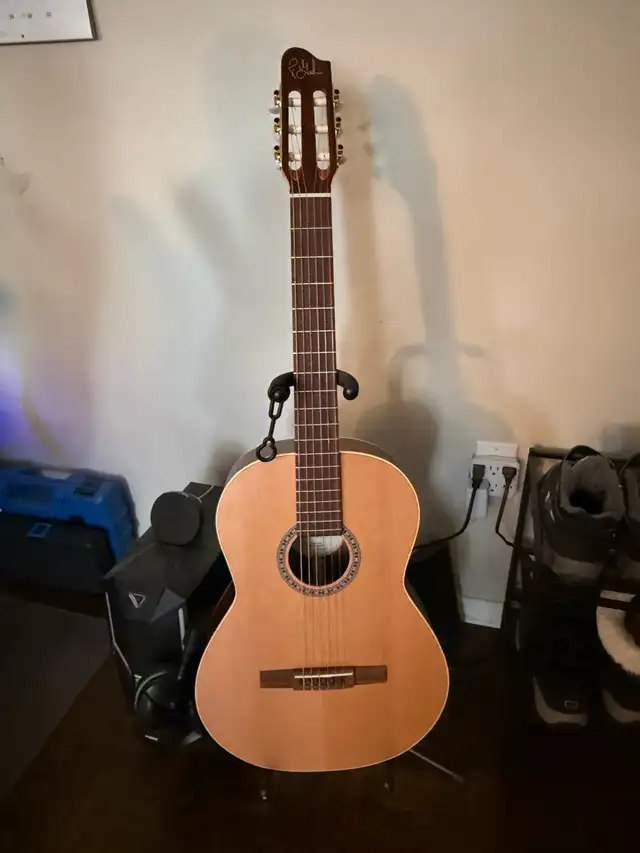 Godin guitar