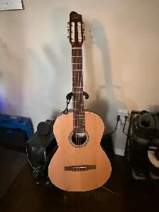 Godin guitar