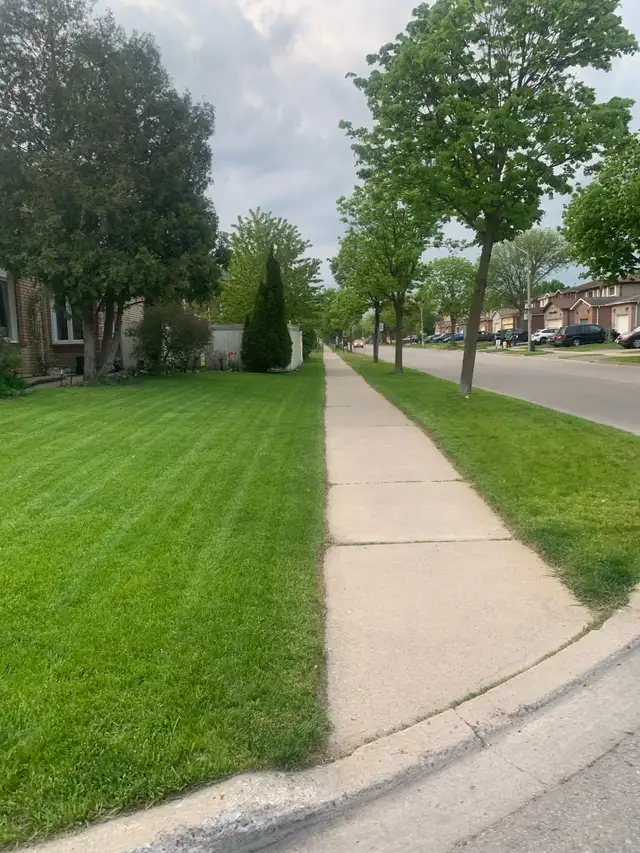 Property service  Lawn mowing