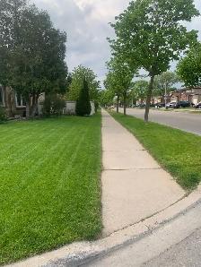 Property service  Lawn mowing