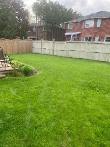 Property service  Lawn mowing - Photo 2