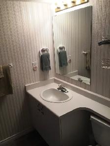 Large, Furnished Basement Bedroom With Private Bath