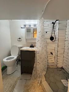2 Bed 1 Bath Basement for Rent - Photo 3