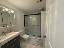 Large Bachelor Apartment For Rent - Photo 2