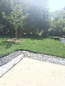 Bright & Spacious 2 Bedroom   Den Basement – Available Immediate
