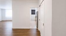 Cozy 1-Bedroom in NDG – Pet Friendly – Internet Included
