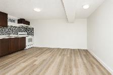 Beautiful Newly Renovated 2-Bedroom Basement Suite Near U of S - Photo 2