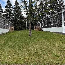 lawn care