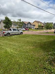 lawn care - Photo 2