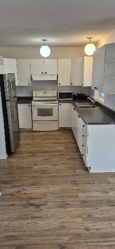 Duplex sur 2 étages – 3 chambres | Libre immédiatement - Photo 2