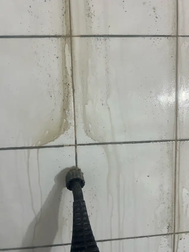 Dirty Tile and Grout Cleaning $100