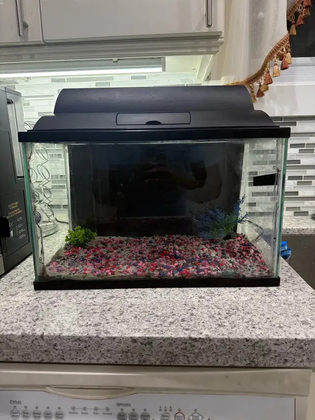 5 Gallon Aquarium