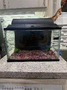 5 Gallon Aquarium
