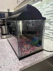 5 Gallon Aquarium - Photo 2