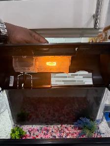 5 Gallon Aquarium - Photo 5