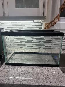 10 Gallon Terrarium