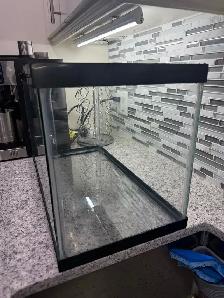 10 Gallon Terrarium - Photo 2