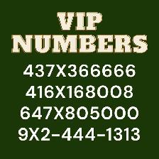 VIP Numbers (416,905,365,289)