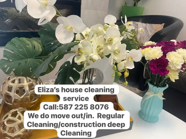 Eli’s house cleaning service