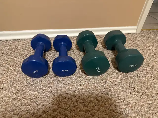 8lb / 12lb DB sets