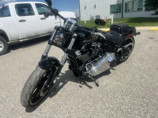 2019 Harley-Davidson Softail