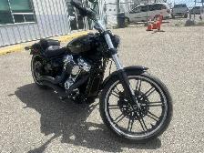 2019 Harley-Davidson Softail - Photo 2