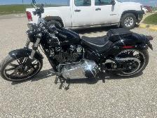 2019 Harley-Davidson Softail - Photo 3