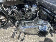 2019 Harley-Davidson Softail - Photo 11