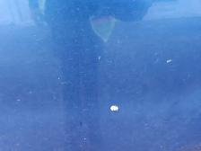 2014 Ford F-150 - Photo 34