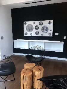 Gorgeous Waterfront Downtown Condo Studio Sept 1st $1820