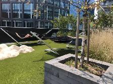 Gorgeous Waterfront Downtown Condo Studio Sept 1st $1820 - Photo 4