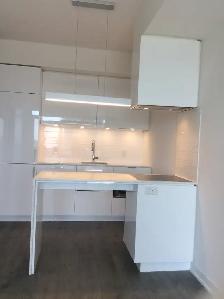 Gorgeous Waterfront Downtown Condo Studio Sept 1st $1820 - Photo 9