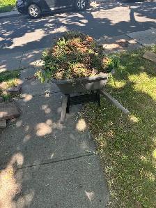 General labourer near you - Photo 2