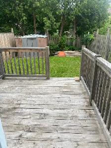 Entire 5-Bedroom Home for Rent | Scarborough, Toronto - Photo 10