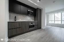 108 PETER STREET - PETER ADELAIDE CONDOS - 1 BEDROOM FOR RENT - Photo 2
