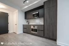 108 PETER STREET - PETER ADELAIDE CONDOS - 1 BEDROOM FOR RENT - Photo 4