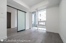 108 PETER STREET - PETER ADELAIDE CONDOS - 1 BEDROOM FOR RENT - Photo 8