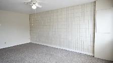 1166 Sudbury Ave-top floor - Photo 5
