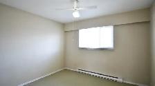 1166 Sudbury Ave-top floor - Photo 9