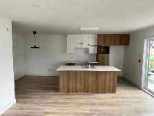✨ Grands 5 ½ récents à Acton Vale, disponibles le 1er août ✨ - Photo 2