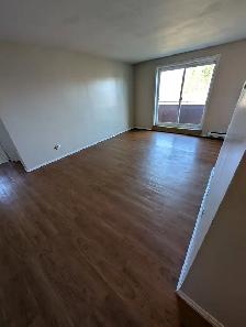 1 Bedroom unit available at 1 Mary St. Jarvis, ON $1,295.00 - Photo 3