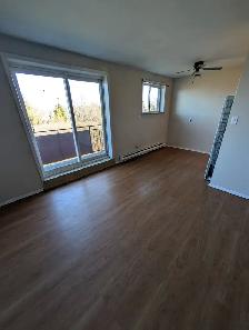 1 Bedroom unit available at 1 Mary St. Jarvis, ON $1,295.00 - Photo 5