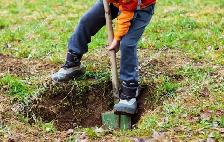 backyard physical labor (Brampton)