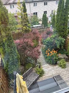 Room Rental - Photo 4