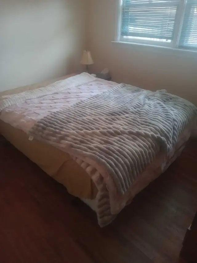 room for rent for female student
