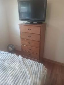 room for rent for female student - Photo 2