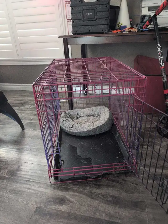 dog cage for sale